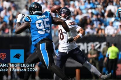 Chicago Bears vs Carolina Panthers Match Player Stats