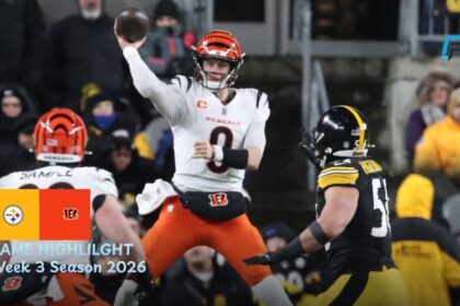 Cincinnati Bengals vs Pittsburgh Steelers Match Player Stats