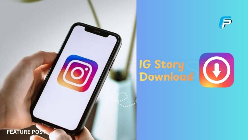 IG Story Download
