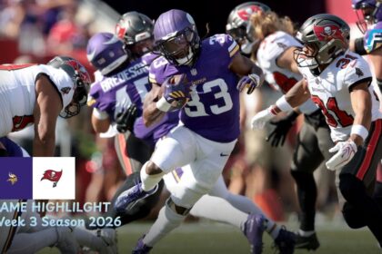 Minnesota Vikings vs Tampa Bay Buccaneers Match Player Stats