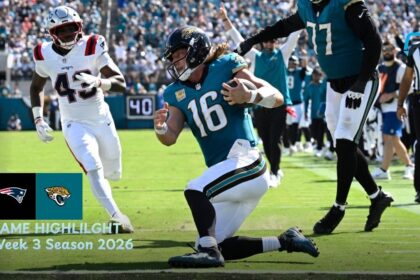 New England Patriots vs Jacksonville Jaguars Match Player Stats