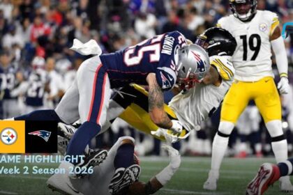 Pittsburgh Steelers vs New England Patriots Match Player Stats