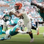 Cincinnati Bengals vs Miami Dolphins Match Player Stats