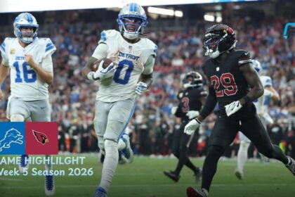 Detroit Lions vs Arizona Cardinals Match Player Stats