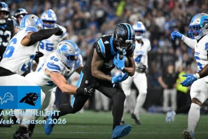 Detroit Lions vs Carolina Panthers Match Player Stats