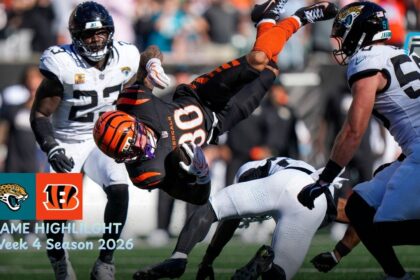 Jacksonville Jaguars vs Cincinnati Bengals Match Player Stats